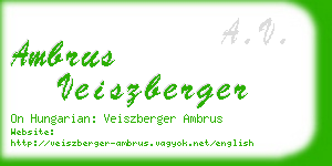 ambrus veiszberger business card